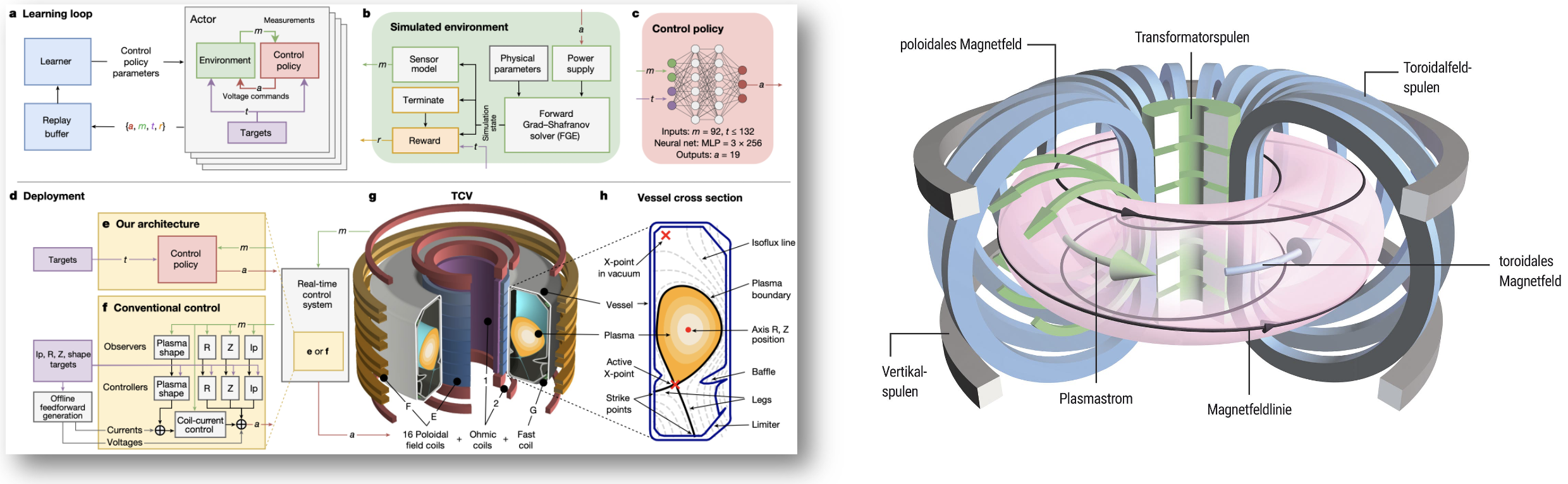 RL for Tokamak